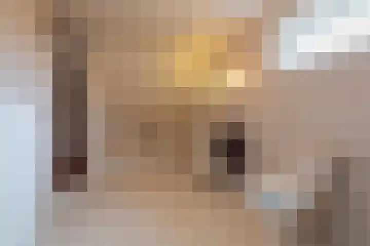 Van Effrinkstraat 23 Voorthuizen thumbnail 25