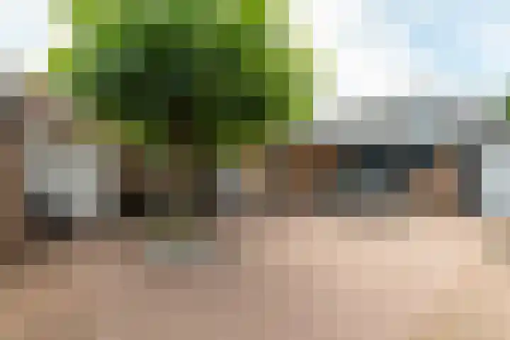 Van Effrinkstraat 23 Voorthuizen thumbnail 36