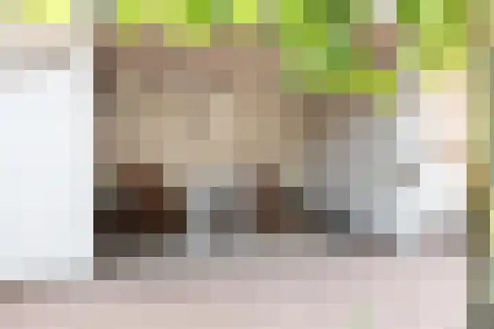 Van Effrinkstraat 23 Voorthuizen thumbnail 37