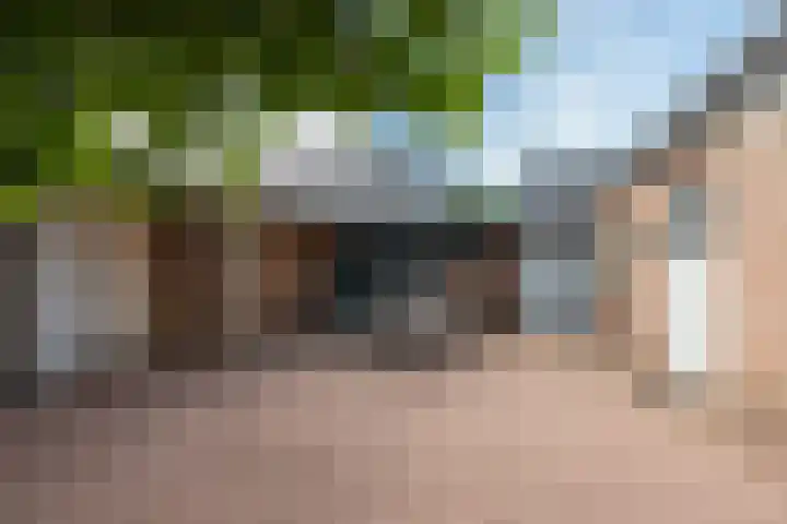 Van Effrinkstraat 23 Voorthuizen thumbnail 38