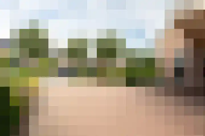 Van Effrinkstraat 23 Voorthuizen thumbnail 39