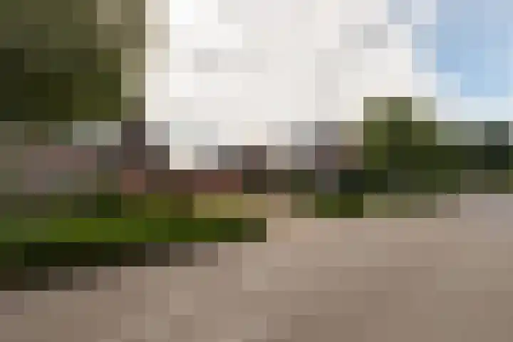 Van Effrinkstraat 23 Voorthuizen thumbnail 40