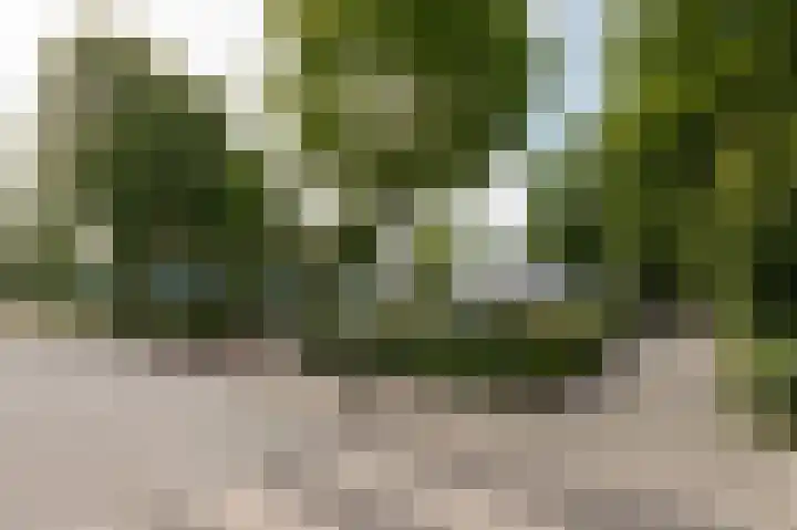 Van Effrinkstraat 23 Voorthuizen thumbnail 41
