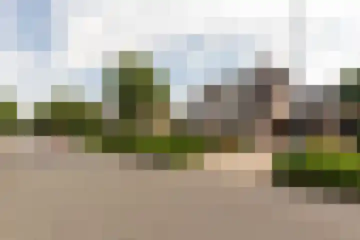 Van Effrinkstraat 23 Voorthuizen thumbnail 6