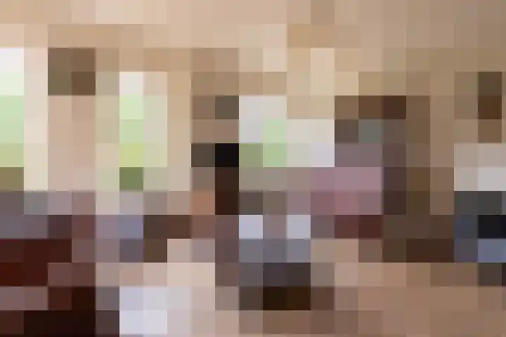 Van Effrinkstraat 23 Voorthuizen thumbnail 9