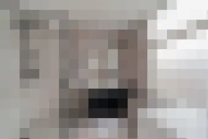 van Egmondestraat 11 Voorburg thumbnail 11