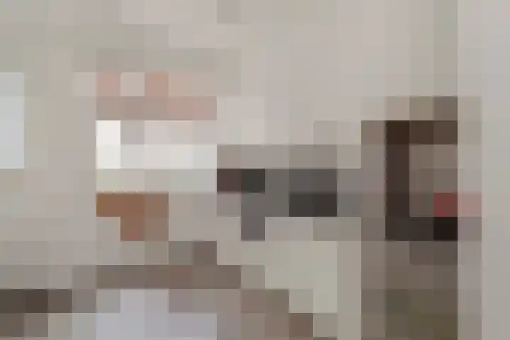 van Egmondestraat 11 Voorburg thumbnail 14