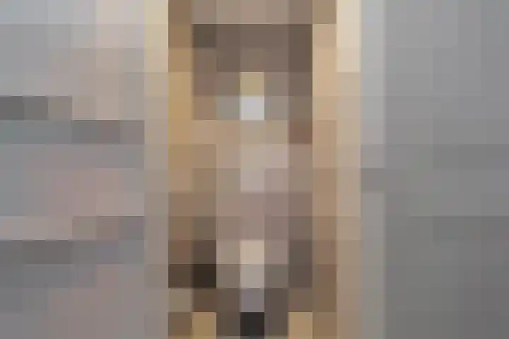 van Egmondestraat 11 Voorburg thumbnail 17