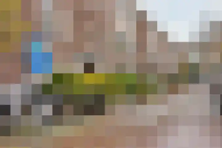 van Egmondestraat 11 Voorburg thumbnail 20