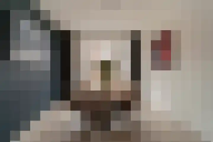 van Egmondestraat 11 Voorburg thumbnail 7