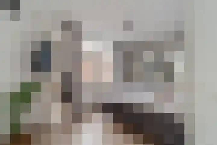 van Egmondestraat 11 Voorburg thumbnail 8
