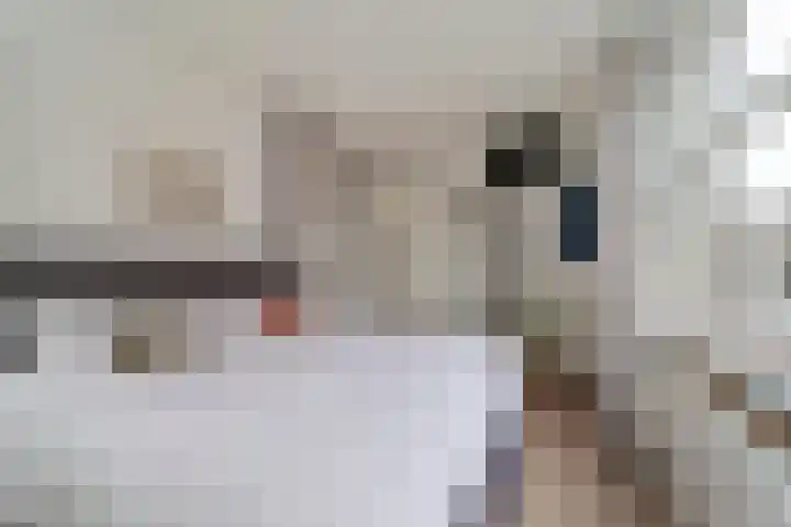 van Egmondestraat 11 Voorburg thumbnail 9