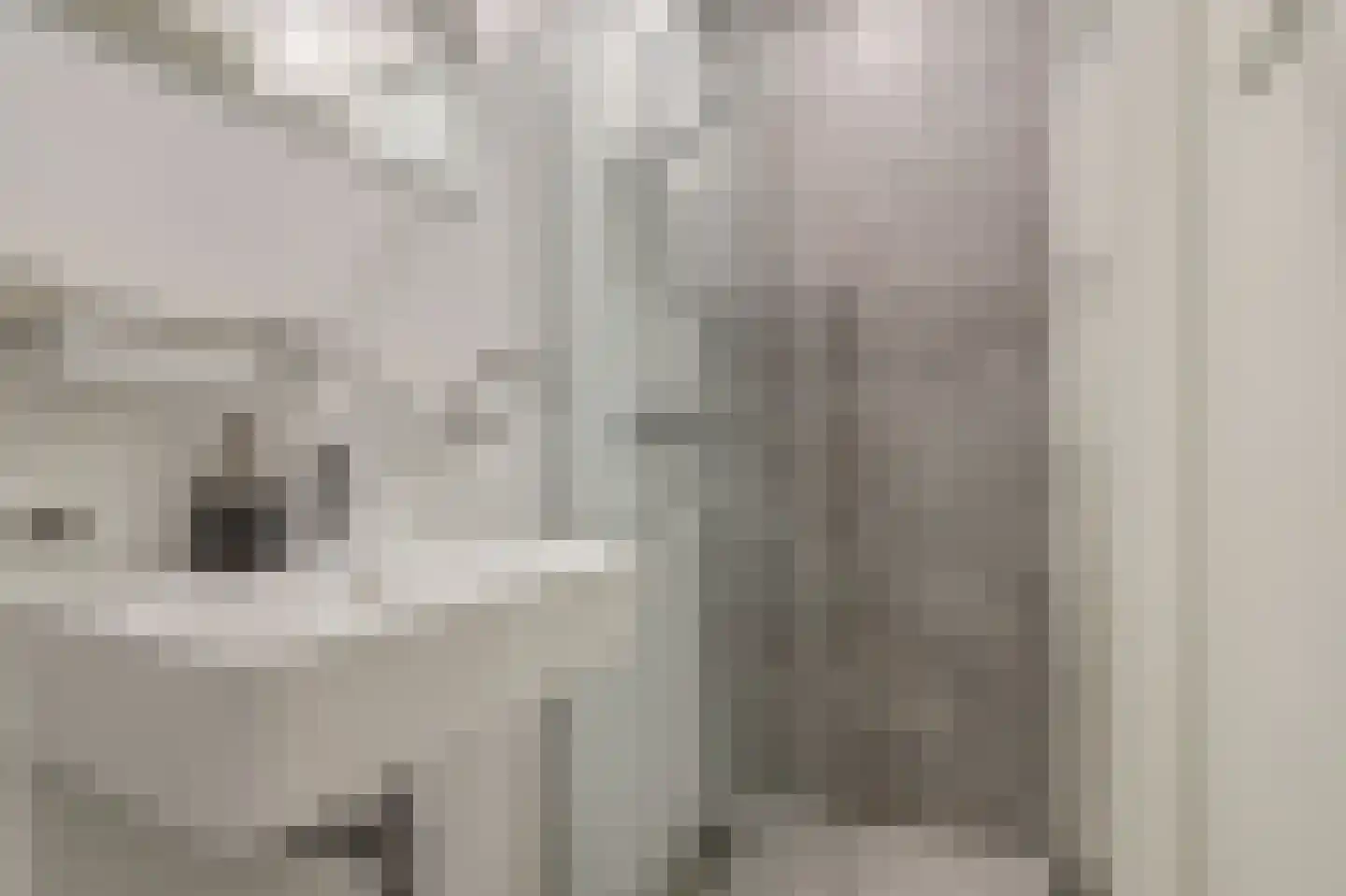 van Egmondestraat 15 Voorburg thumbnail 11