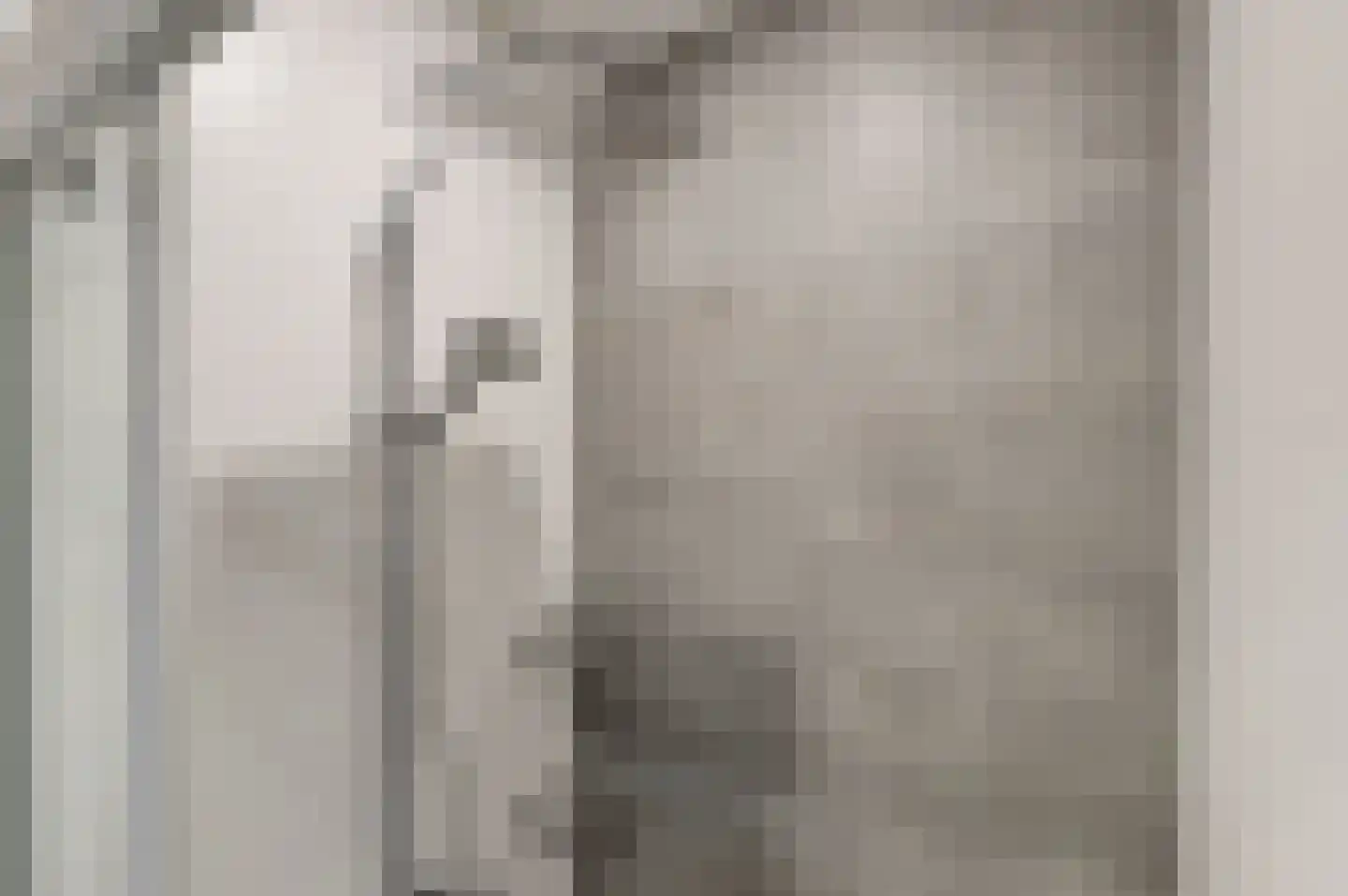 van Egmondestraat 15 Voorburg thumbnail 12