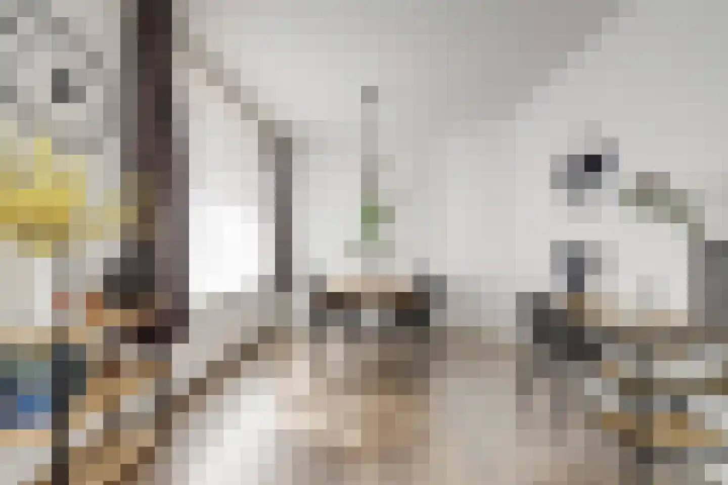 van Egmondestraat 15 Voorburg thumbnail 7
