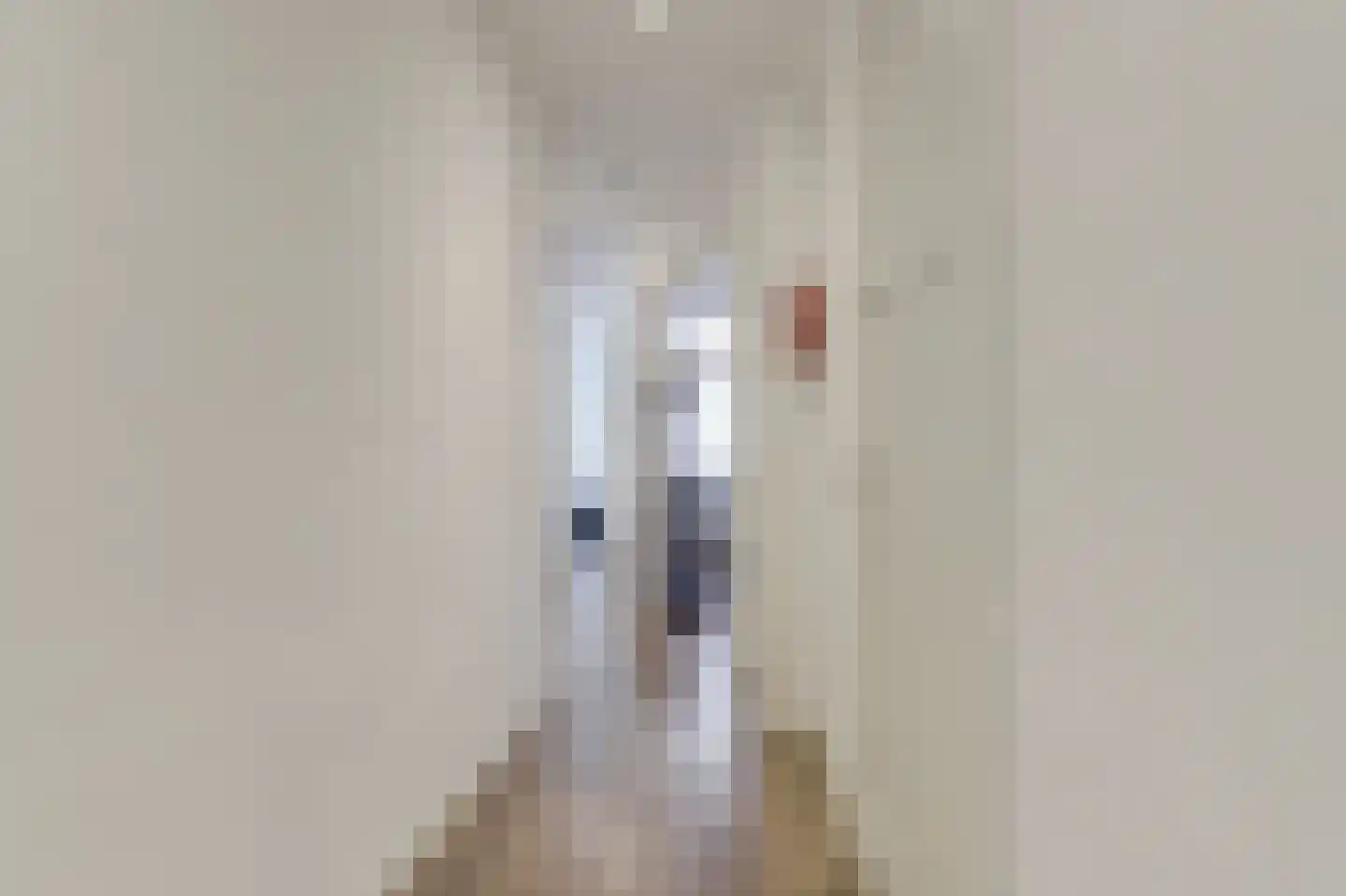 van Egmondestraat 15 Voorburg thumbnail 8