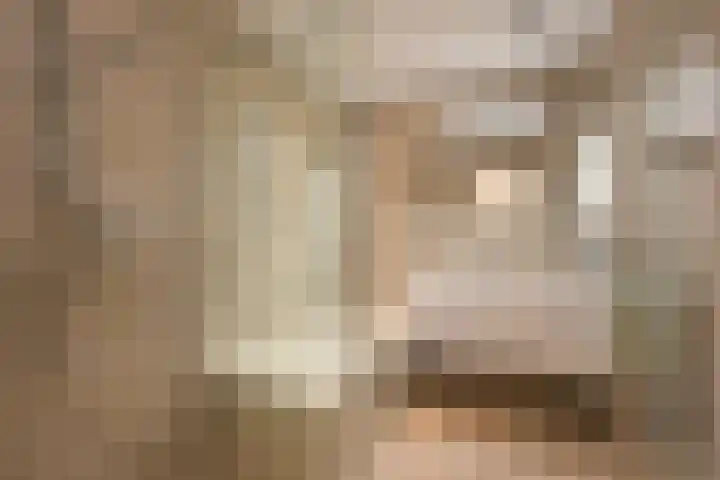 van Egmondestraat 28 Voorburg thumbnail 4