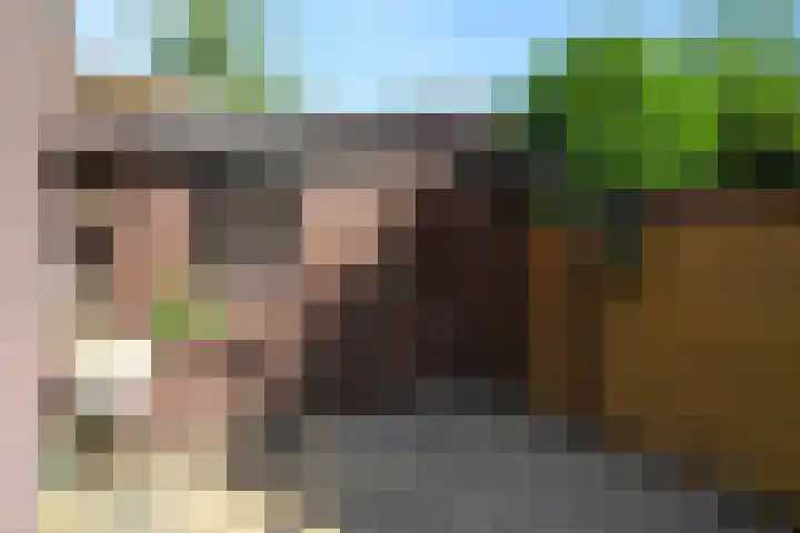 van Egmondestraat 28 Voorburg thumbnail 42