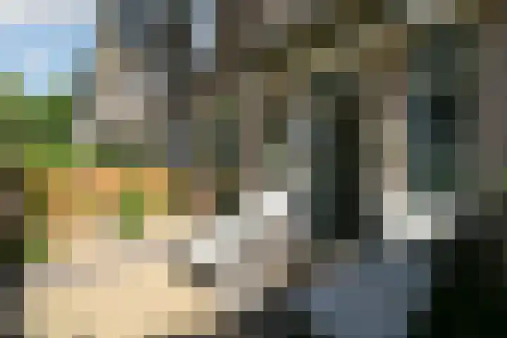 van Egmondestraat 28 Voorburg thumbnail 6