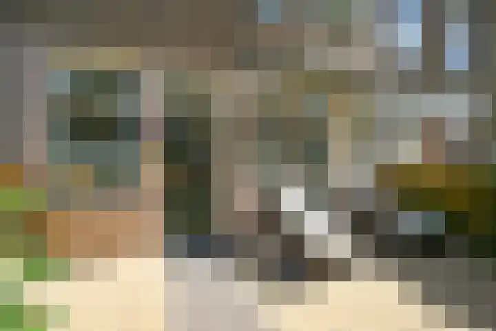 van Egmondestraat 28 Voorburg thumbnail 7