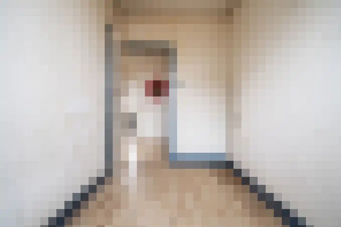 van Egmondestraat 31 Voorburg thumbnail 29