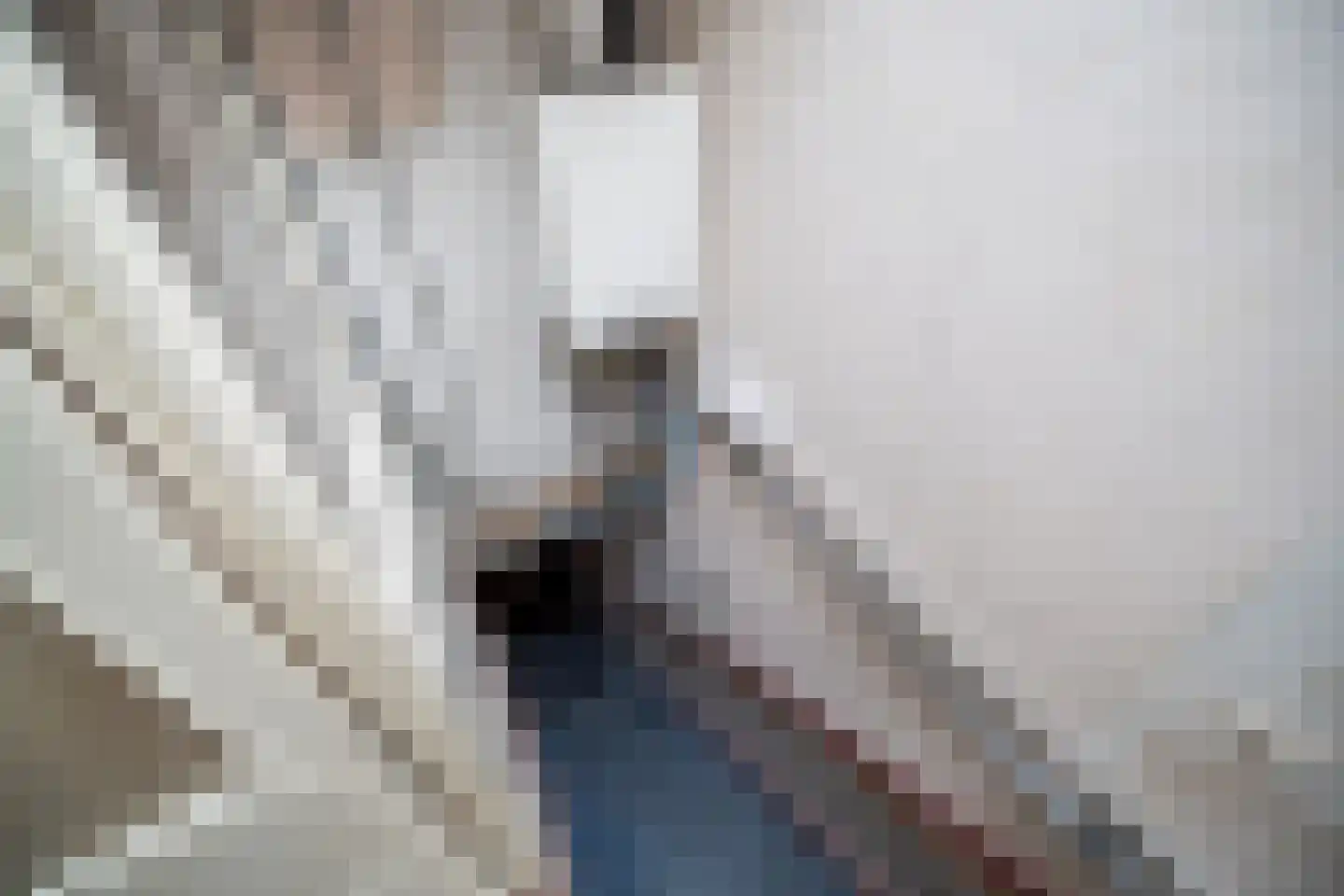 van Egmondestraat 31 Voorburg thumbnail 33