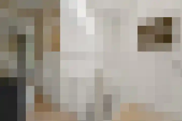 van Egmondestraat 44 Voorburg thumbnail 10