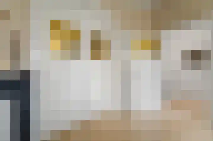van Egmondestraat 44 Voorburg thumbnail 12