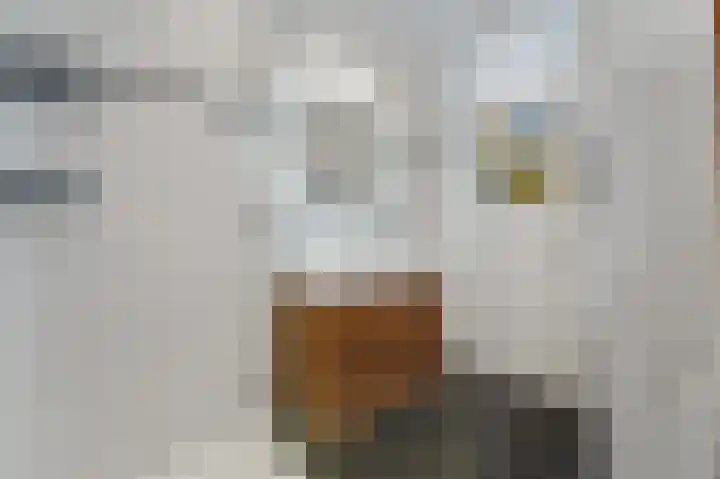 van Egmondestraat 44 Voorburg thumbnail 20