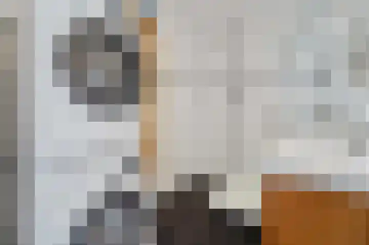 van Egmondestraat 44 Voorburg thumbnail 21