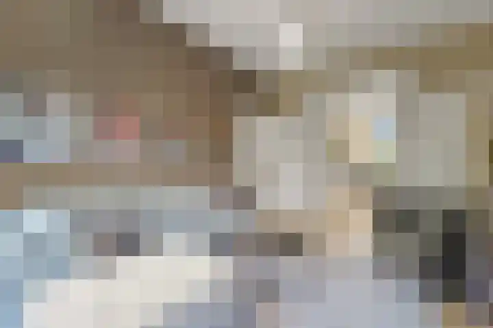 van Egmondestraat 44 Voorburg thumbnail 34