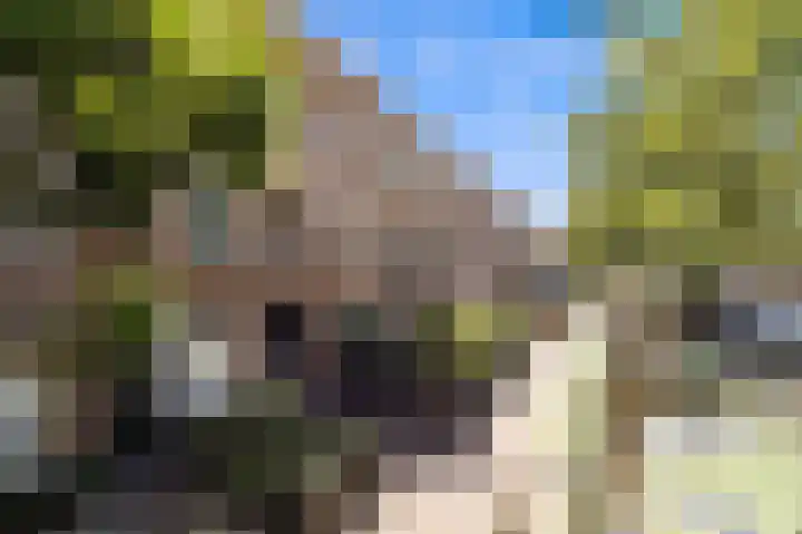 van Egmondestraat 44 Voorburg thumbnail 6