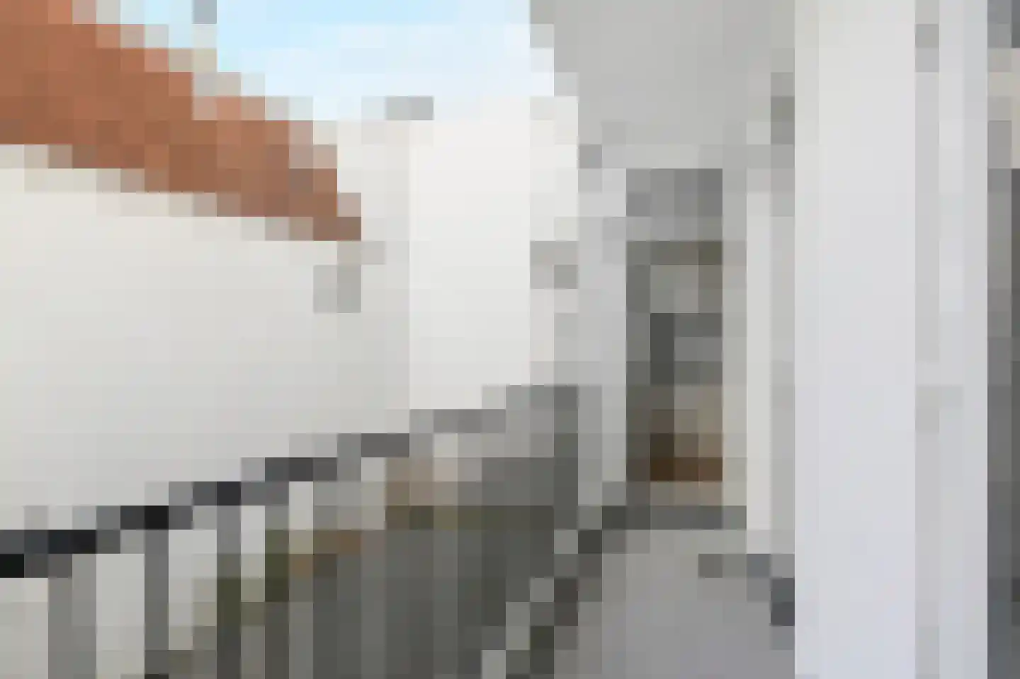 van Egmondestraat 51 Voorburg thumbnail 17