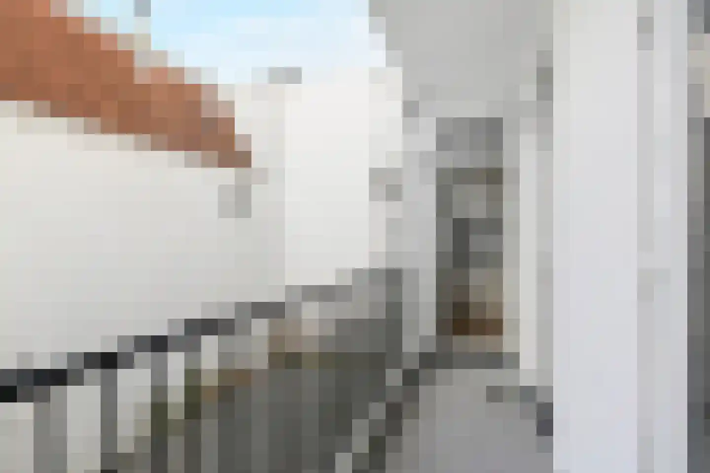 van Egmondestraat 51 Voorburg thumbnail 17