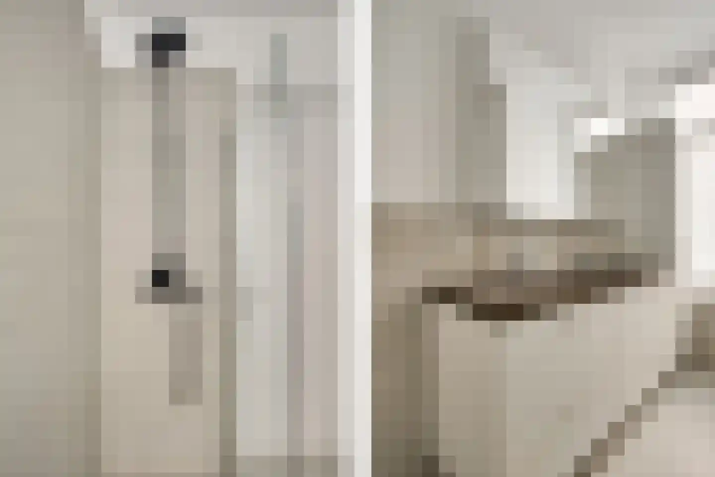 van Egmondestraat 6 Voorburg thumbnail 23