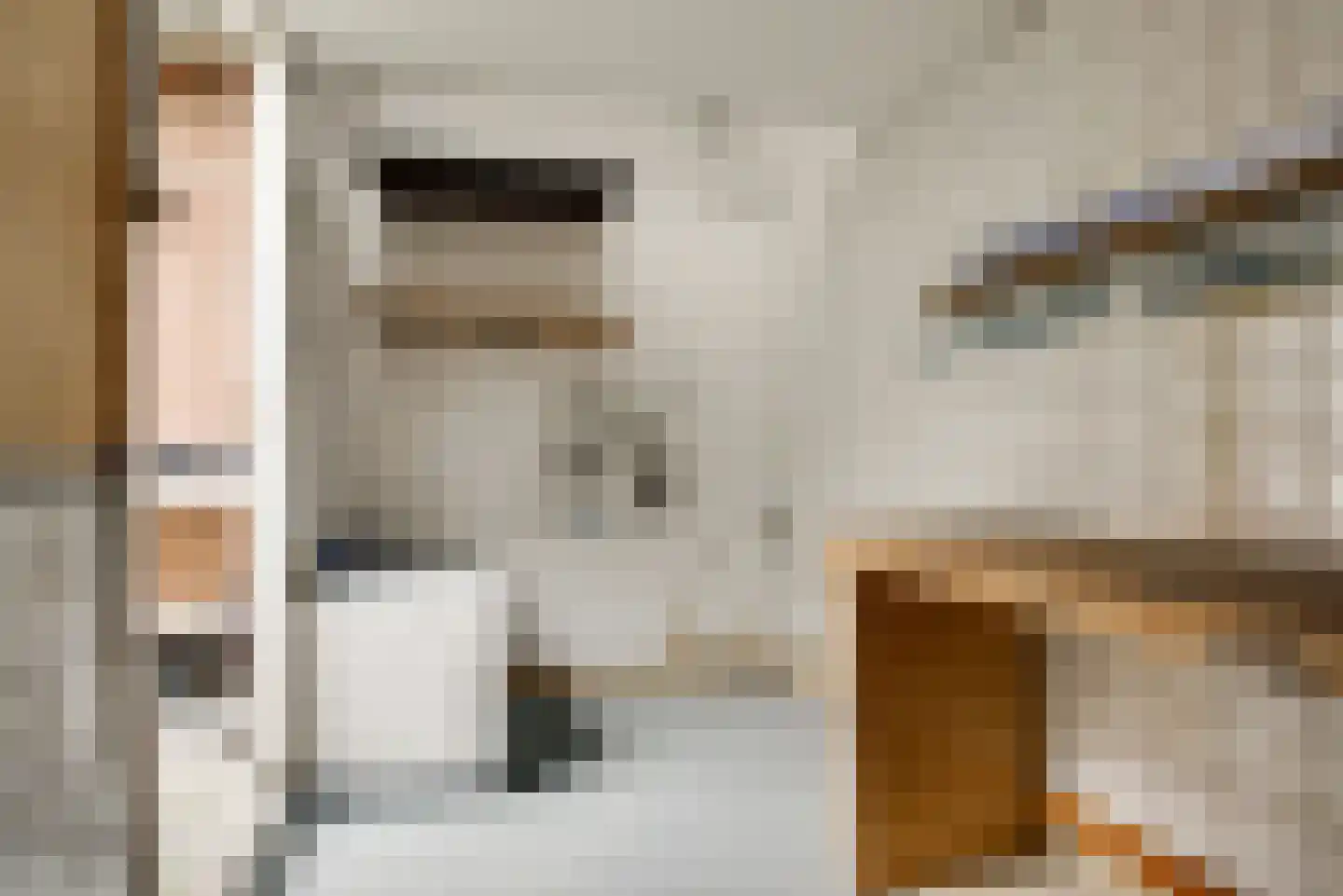 van Egmondestraat 6 Voorburg thumbnail 38