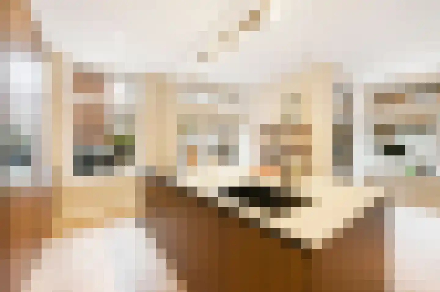 van Egmondestraat 9 Voorburg thumbnail 15