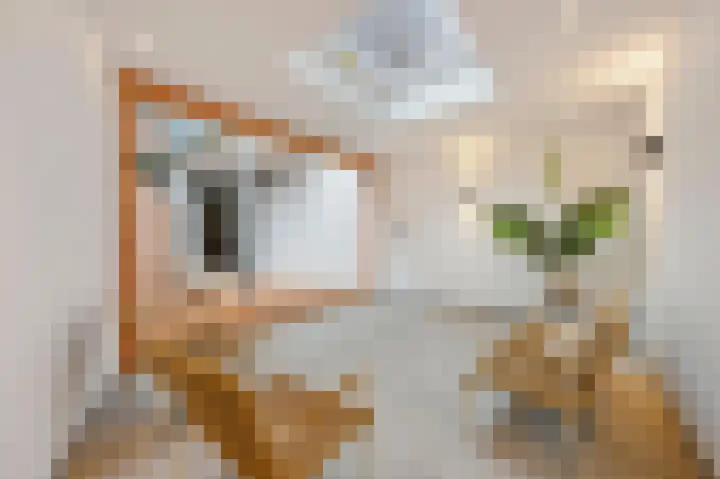 van Egmondestraat 9 Voorburg thumbnail 36