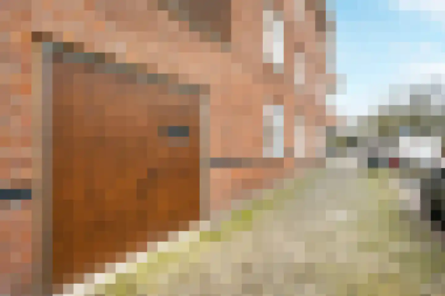 van Egmondestraat 9 Voorburg thumbnail 38
