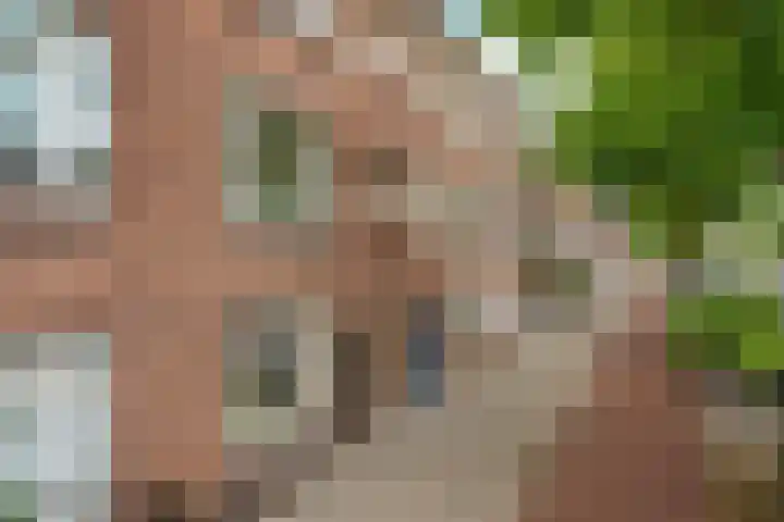 Van Egmondkade 44 BS Utrecht thumbnail 16