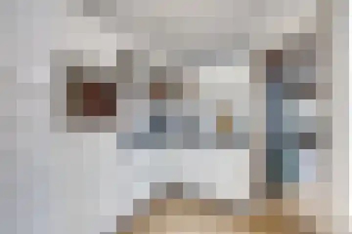 Van Egmondkade 66 Utrecht thumbnail 15