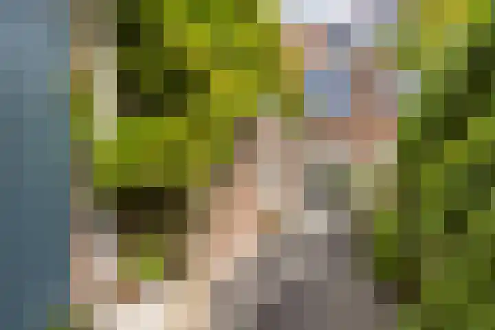 Van Egmondkade 66 Utrecht thumbnail 27