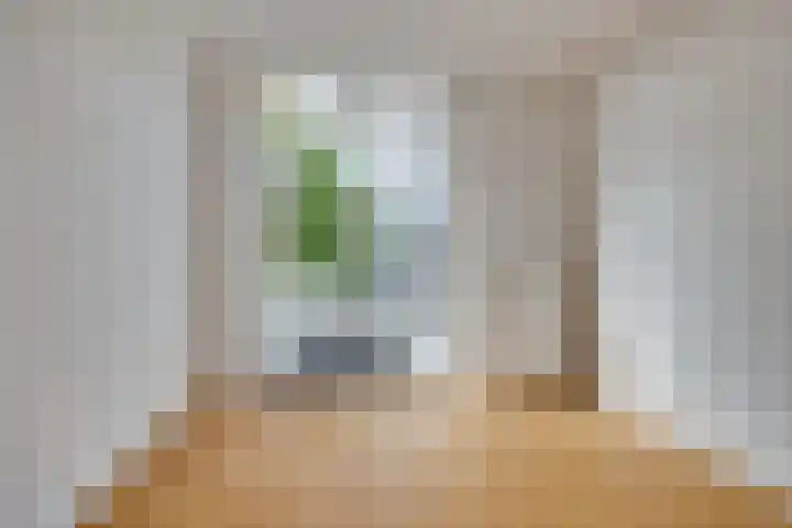 Van Egmondkade 70 BS Utrecht thumbnail 5