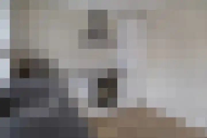Van Egmondkade 74 BS Utrecht thumbnail 16