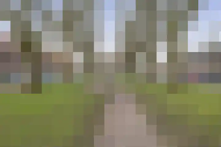 Van Egmondkade 74 BS Utrecht thumbnail 29