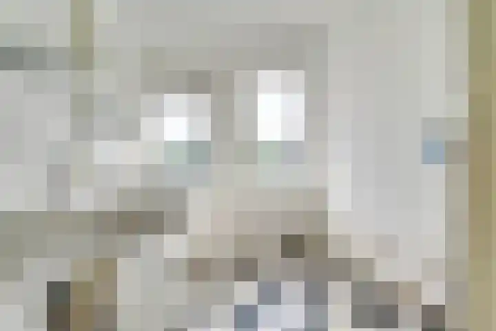 Van Egmondkade 8 BS Utrecht thumbnail 20