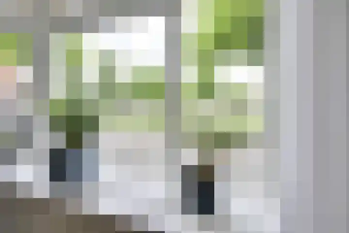 Van Egmondkade 92 Utrecht thumbnail 12
