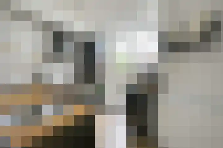 Van Egmondkade 92 Utrecht thumbnail 19