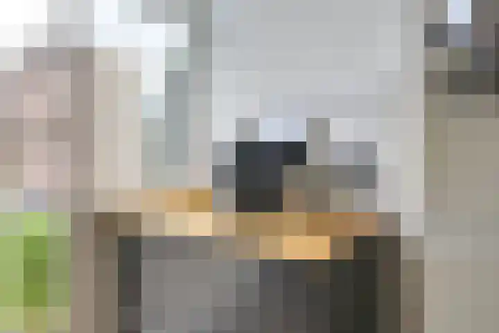 Van Egmondkade 92 Utrecht thumbnail 23