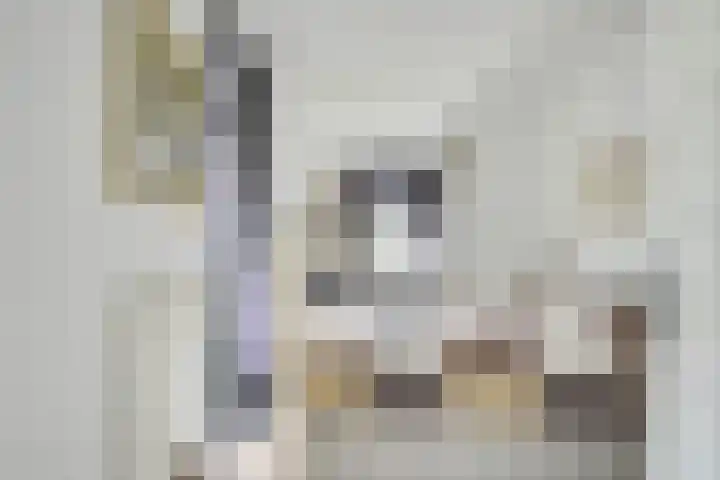 Van Egmondkade 92 Utrecht thumbnail 29